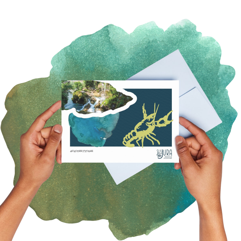 Carte postale – Écrevisse