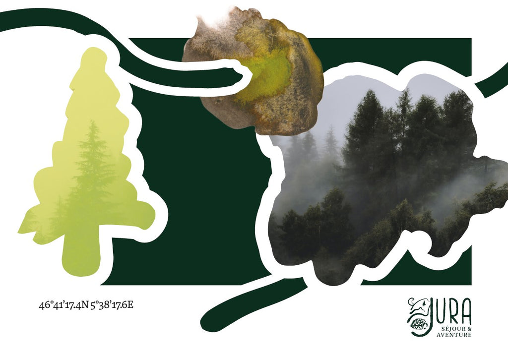 Carte postale – Forêt du Jura