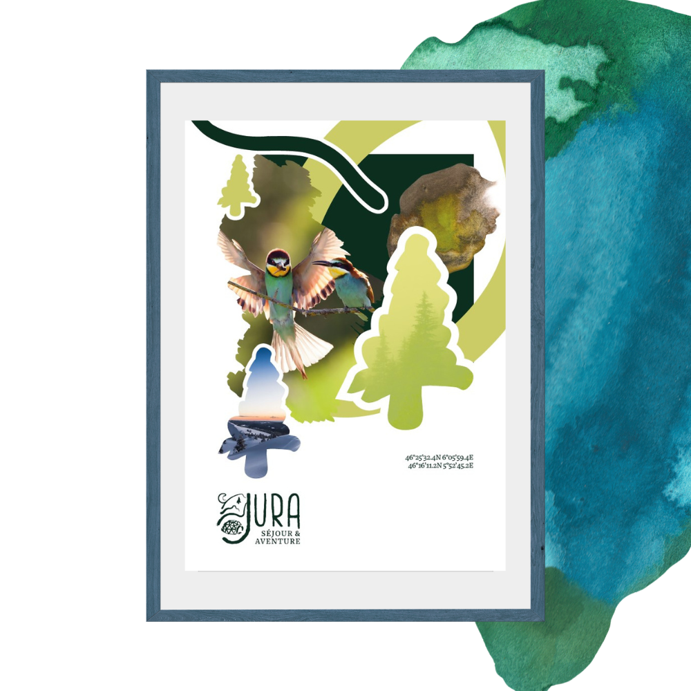 Affiche A3 – Oiseau